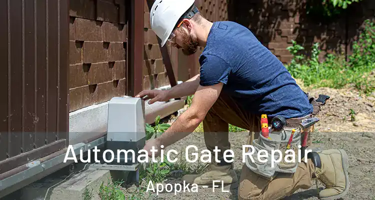 Automatic Gate Repair Apopka - FL