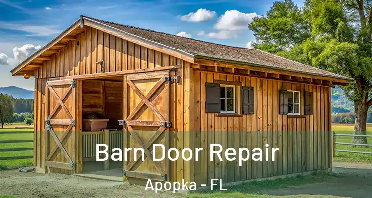 Barn Door Repair Apopka - FL