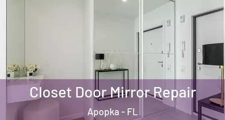 Closet Door Mirror Repair Apopka - FL