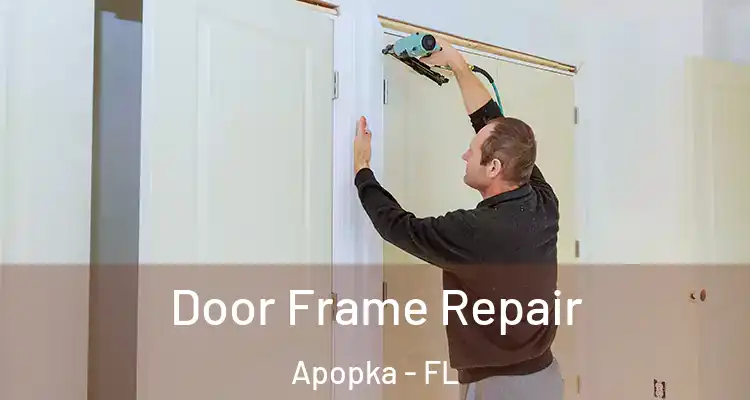 Door Frame Repair Apopka - FL
