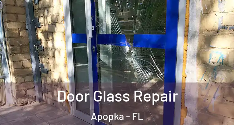 Door Glass Repair Apopka - FL