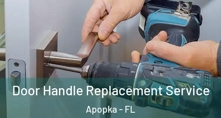 Door Handle Replacement Service Apopka - FL