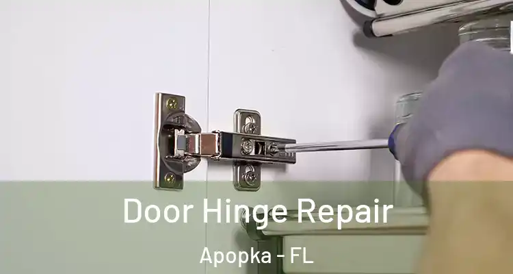 Door Hinge Repair Apopka - FL