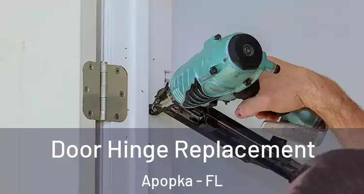 Door Hinge Replacement Apopka - FL