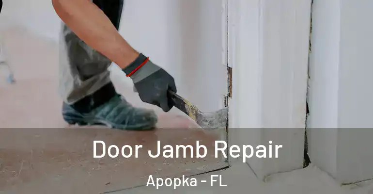 Door Jamb Repair Apopka - FL