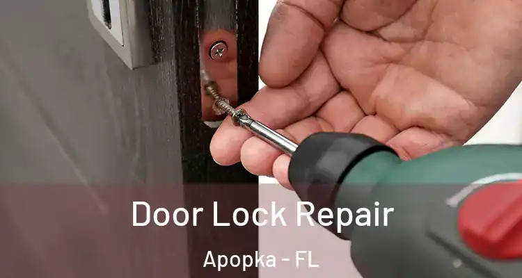  Door Lock Repair Apopka - FL