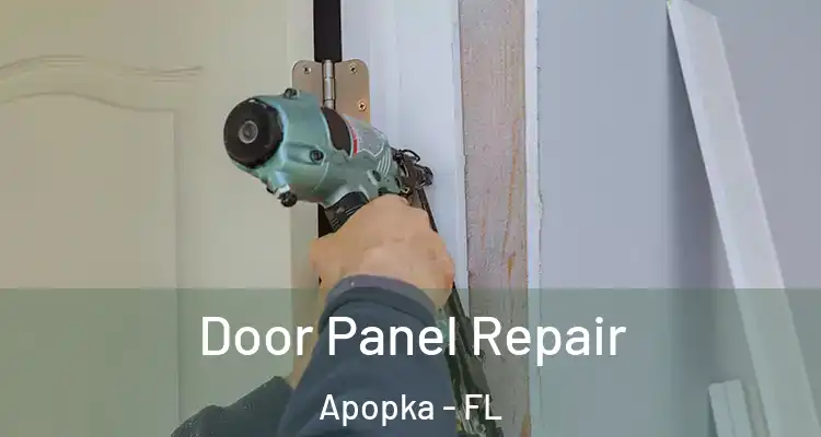 Door Panel Repair Apopka - FL