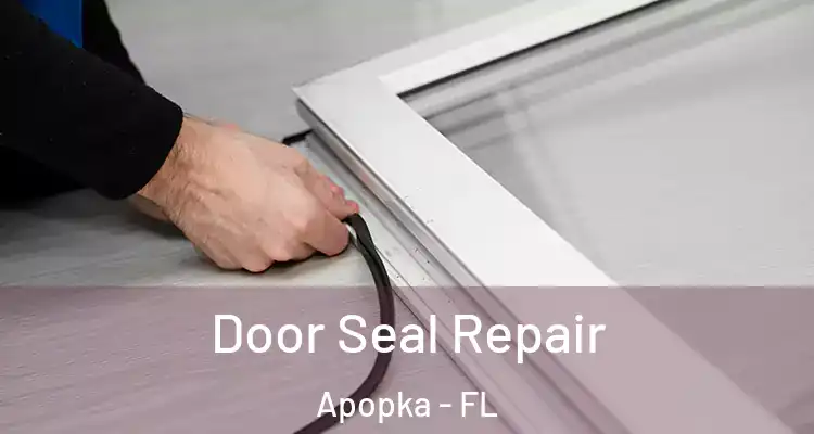 Door Seal Repair Apopka - FL