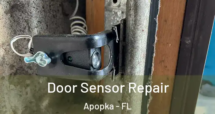Door Sensor Repair Apopka - FL