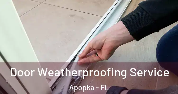 Door Weatherproofing Service Apopka - FL