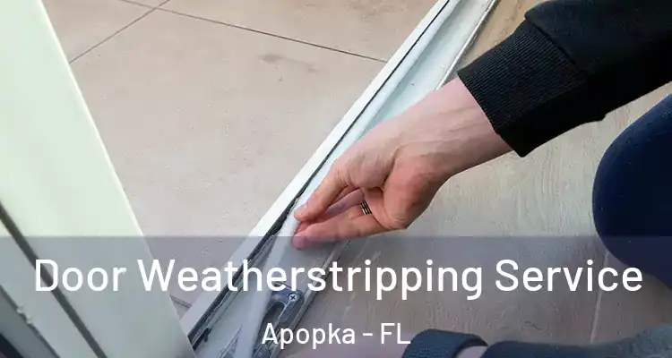 Door Weatherstripping Service Apopka - FL