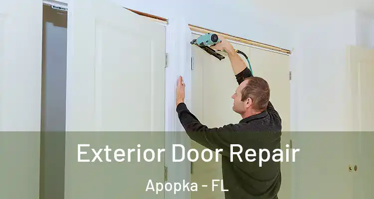 Exterior Door Repair Apopka - FL