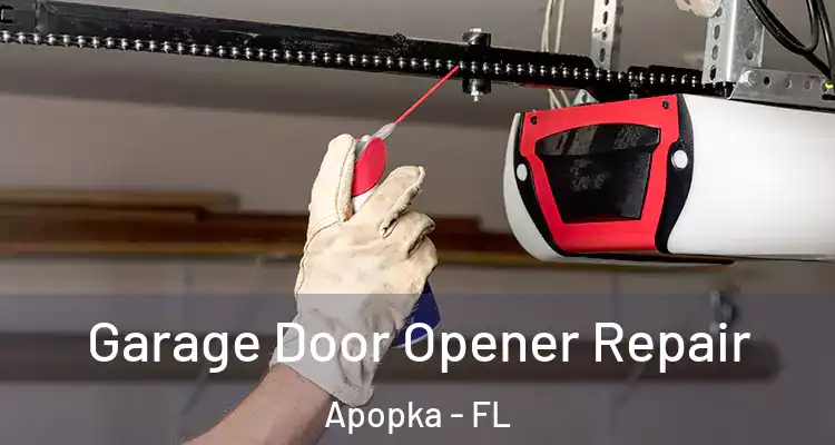  Garage Door Opener Repair Apopka - FL