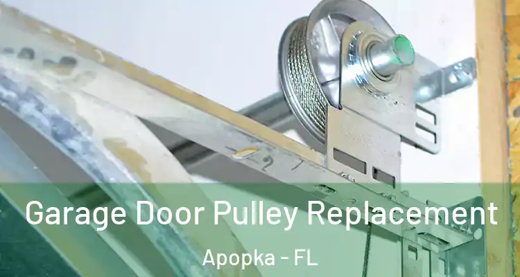 Garage Door Pulley Replacement Apopka - FL