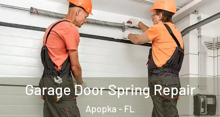 Garage Door Spring Repair Apopka - FL