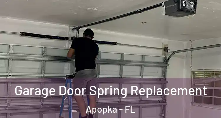 Garage Door Spring Replacement Apopka - FL
