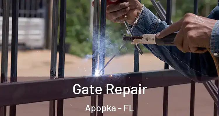 Gate Repair Apopka - FL