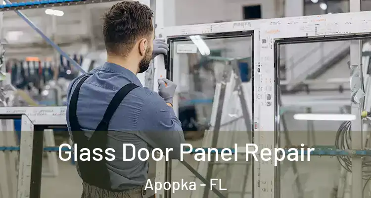 Glass Door Panel Repair Apopka - FL