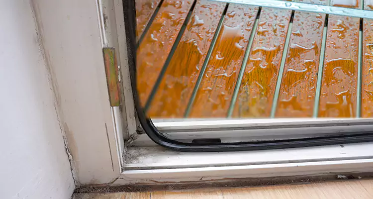 Water Leaking Wooden Patio Doors Repair in Apopka, FL