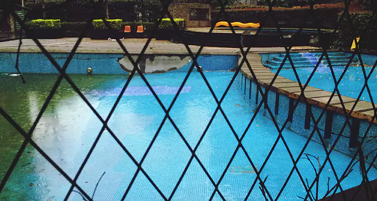 Lanai Screen Repair in Apopka, FL