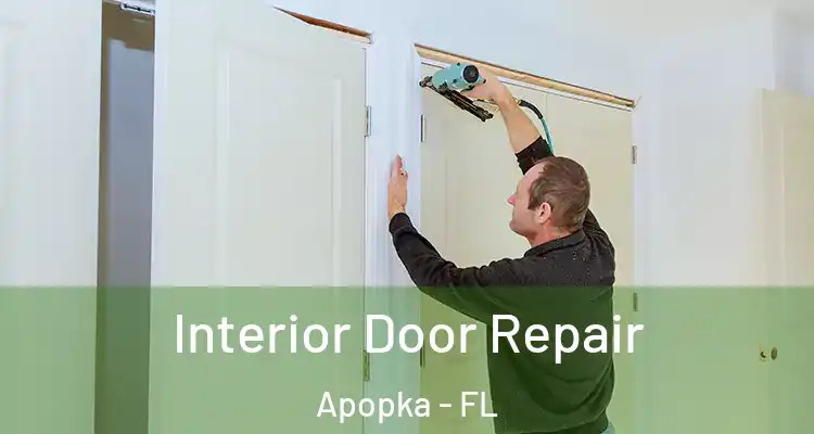 Interior Door Repair Apopka - FL