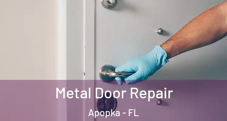 Metal Door Repair Apopka - FL