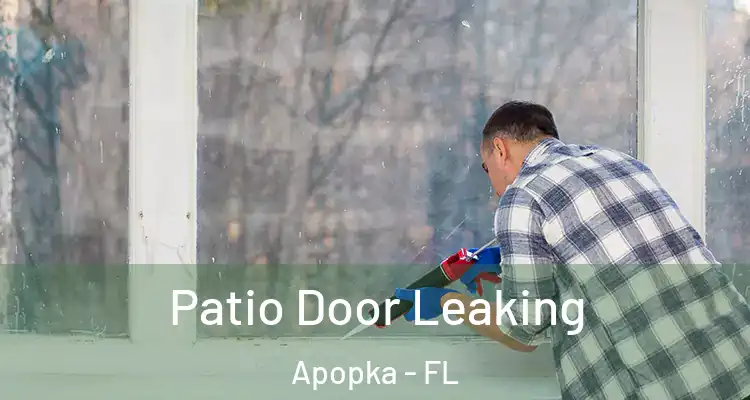 Patio Door Leaking Apopka - FL