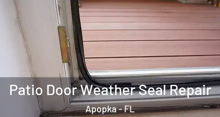 Patio Door Weather Seal Repair Apopka - FL