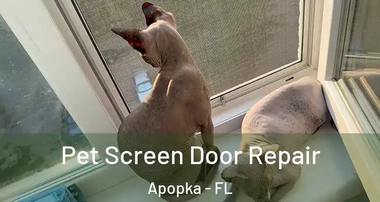 Pet Screen Door Repair Apopka - FL