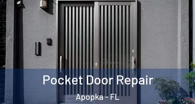 Pocket Door Repair Apopka - FL