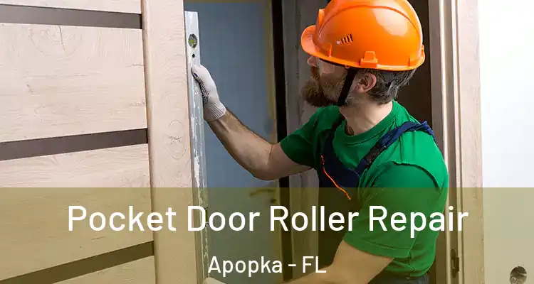 Pocket Door Roller Repair Apopka - FL