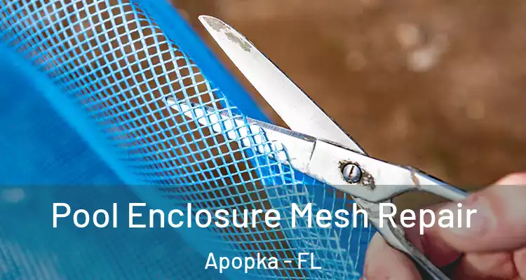  Pool Enclosure Mesh Repair Apopka - FL