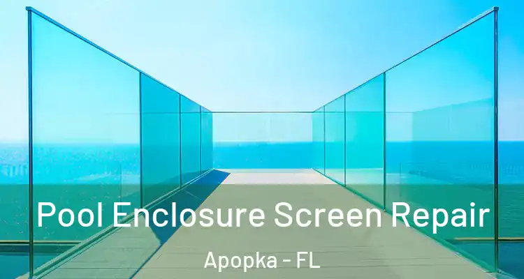 Pool Enclosure Screen Repair Apopka - FL