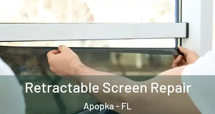 Retractable Screen Repair Apopka - FL