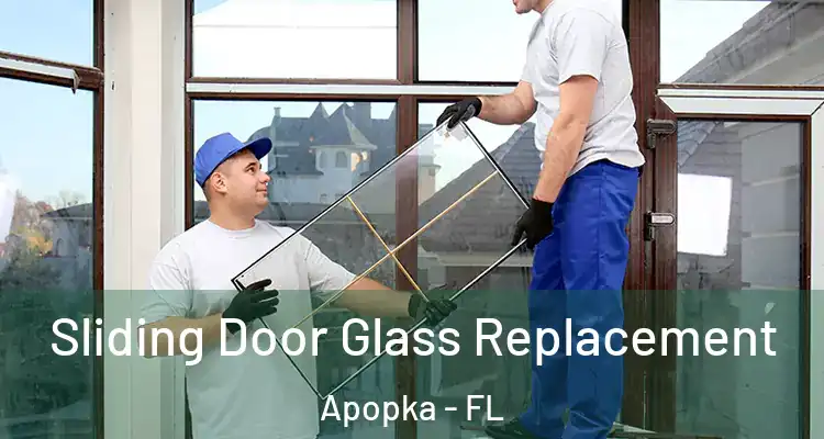 Sliding Door Glass Replacement Apopka - FL