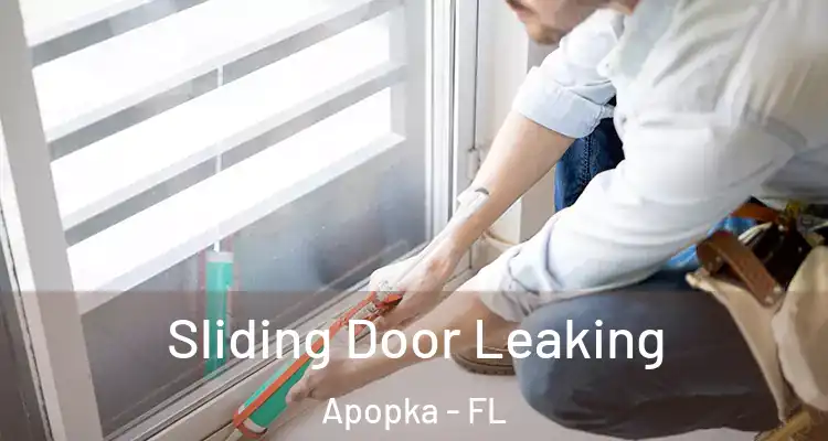 Sliding Door Leaking Apopka - FL