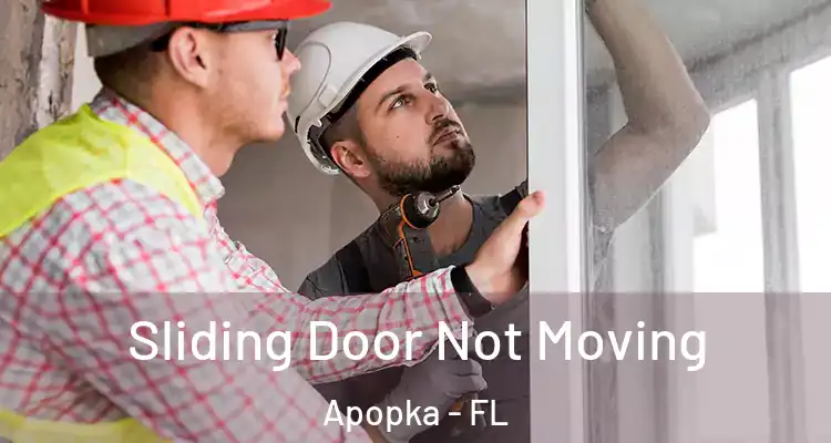 Sliding Door Not Moving Apopka - FL