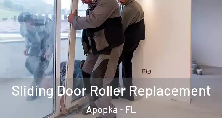 Sliding Door Roller Replacement Apopka - FL