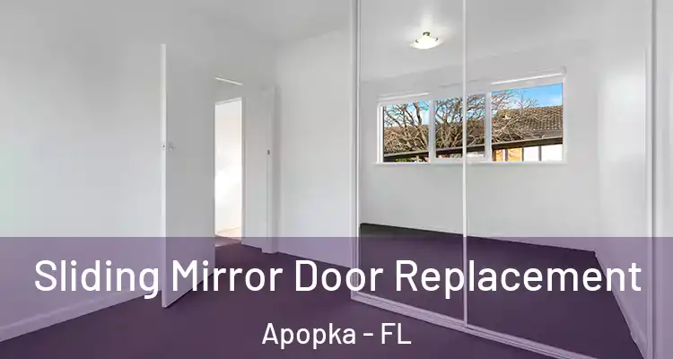 Sliding Mirror Door Replacement Apopka - FL