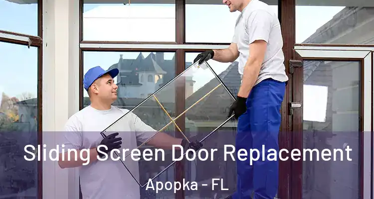Sliding Screen Door Replacement Apopka - FL