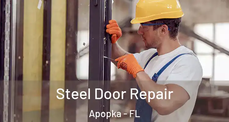 Steel Door Repair Apopka - FL