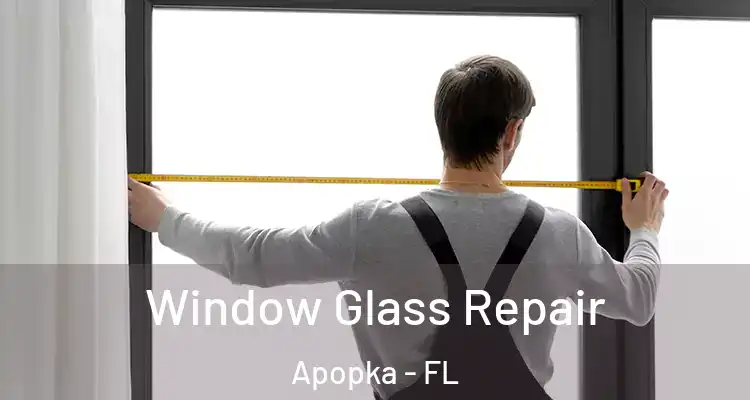 Window Glass Repair Apopka - FL
