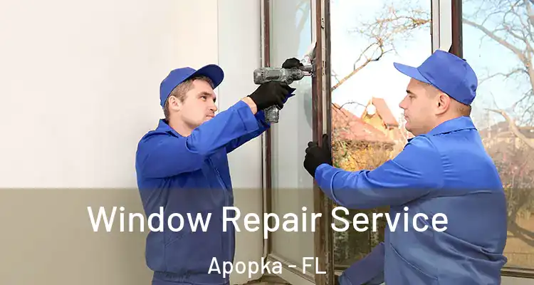 Window Repair Service Apopka - FL