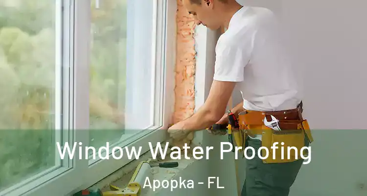 Window Water Proofing Apopka - FL