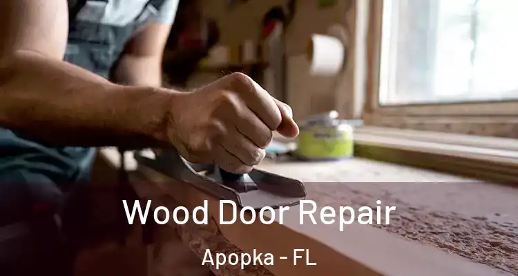 Wood Door Repair Apopka - FL